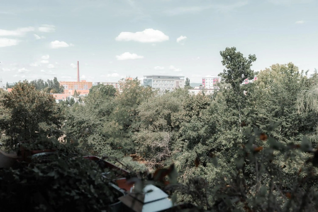 Stylish apartment near the historic center