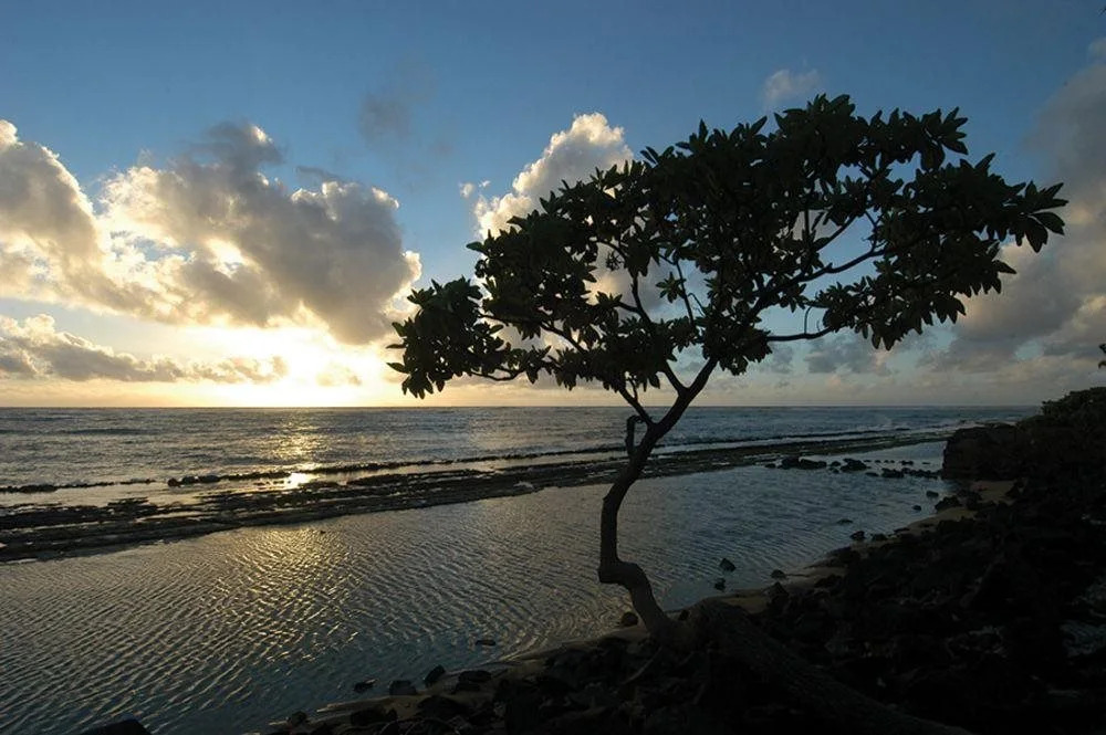 WorldMark Kapaa Shore