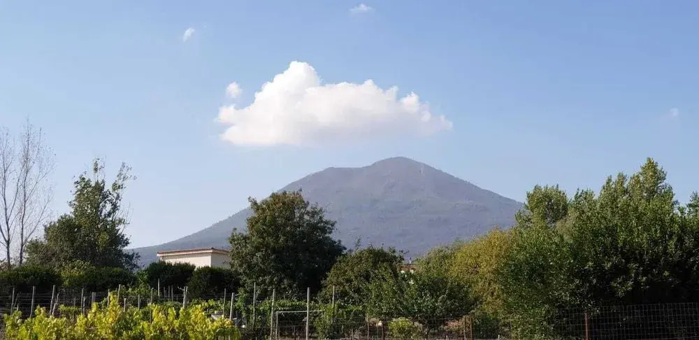 Villa Mirto