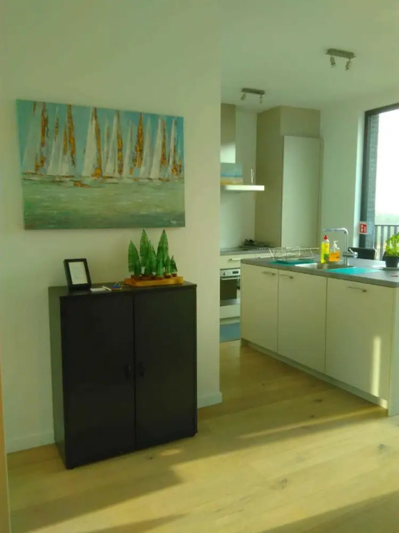 Fully Equipped Sunny Apartment