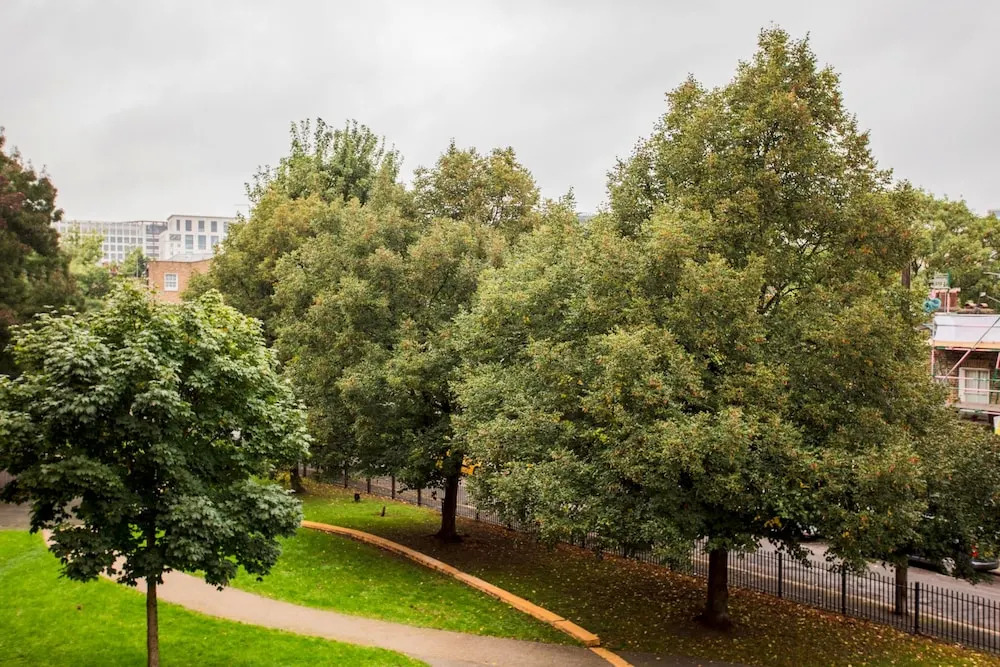 2 Bedroom Apartment Near Kings Cross