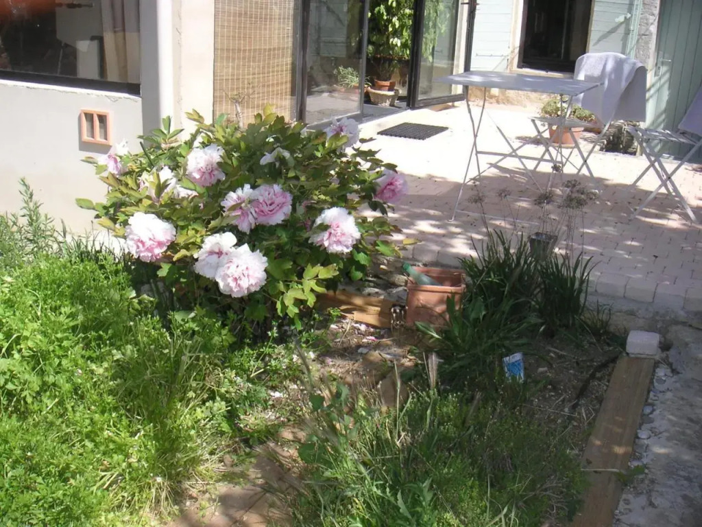 Le Jardin DAdam BB