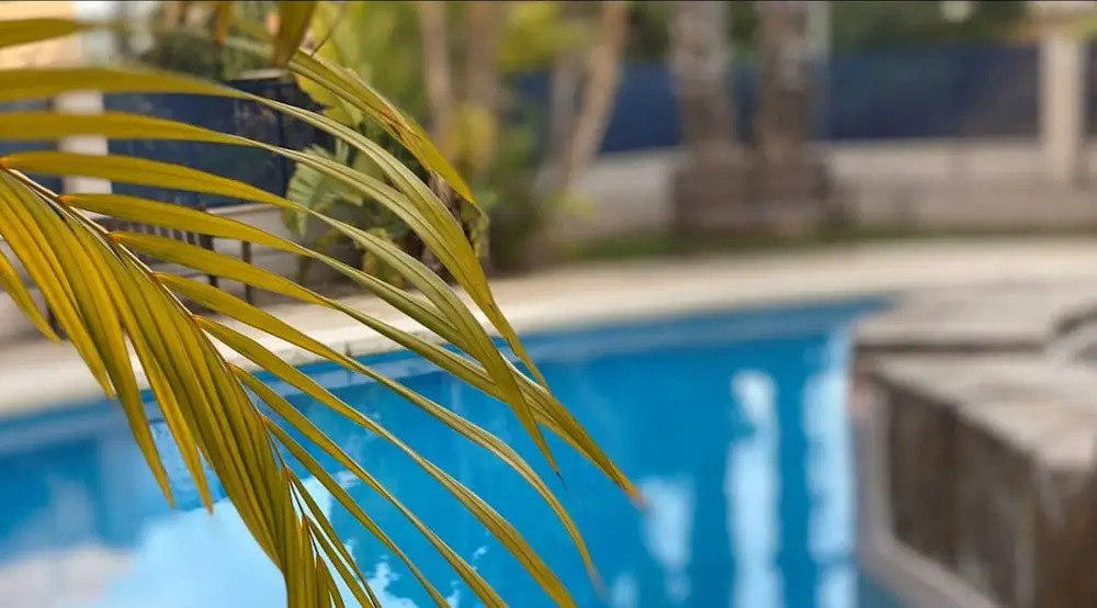 La Zenia Apmt Close to Beach With Com Pool LZ3