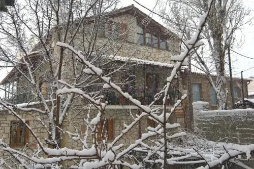 Patriko
