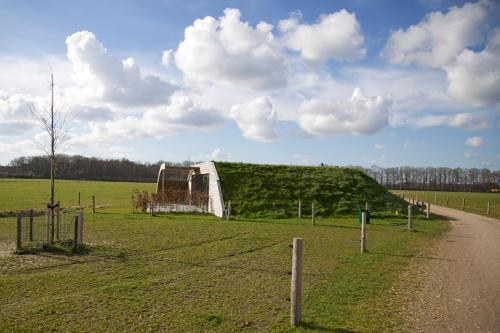 Koe in de Kost