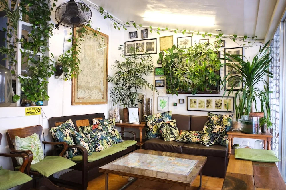 Humble Hut Hostel