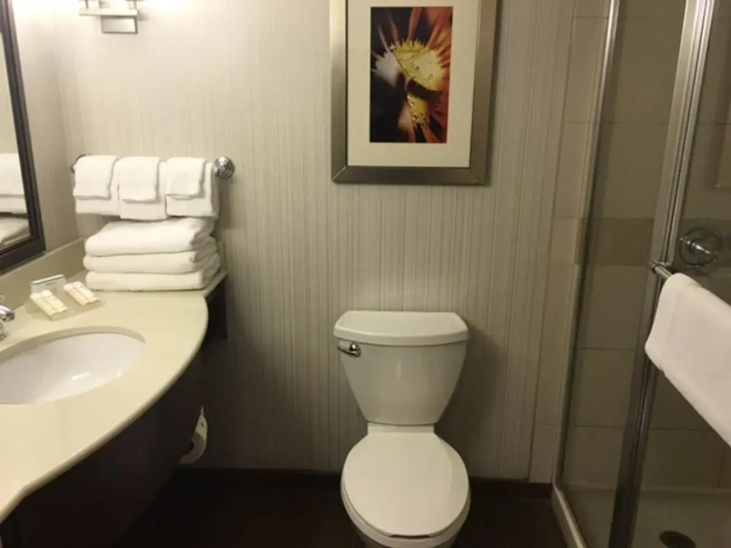 Hilton Garden Inn Pittsburgh University Place