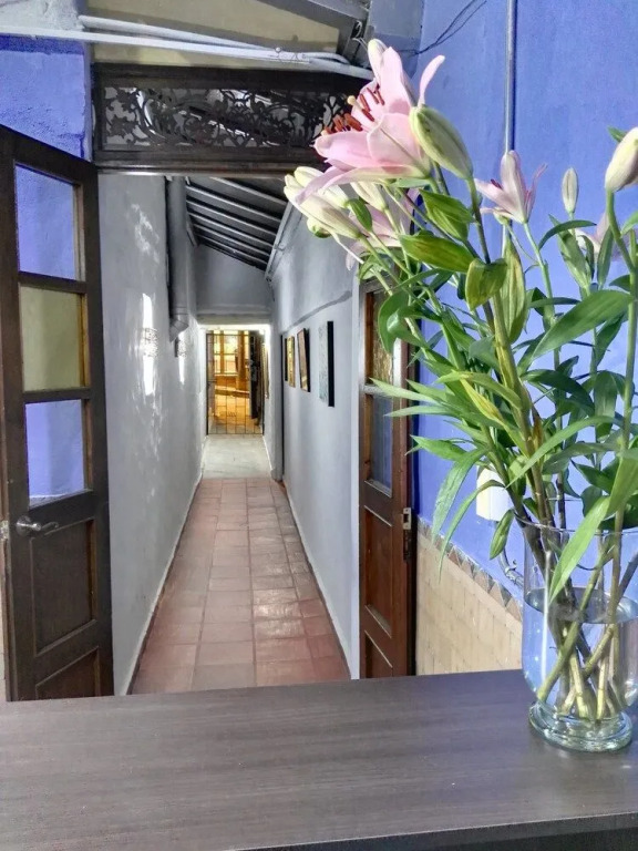 Mola Hostel