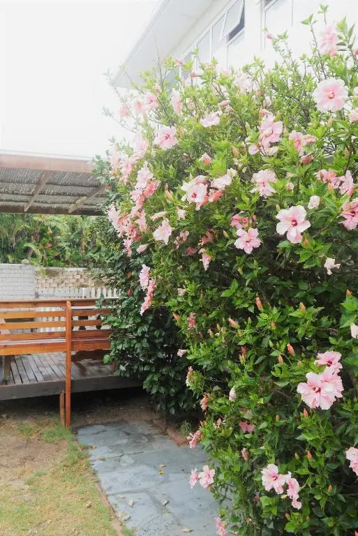 Cape Town Milnerton Lagoon Villa