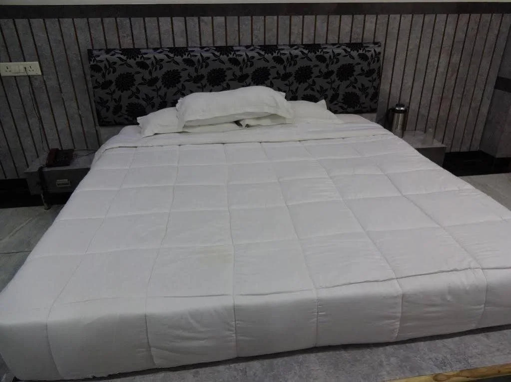 Hotel Shree Vinayak Palace