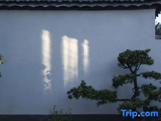 Yunhe Xingyue Homestay