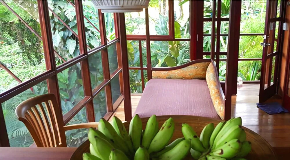 Casa Mono at Monkey Tree