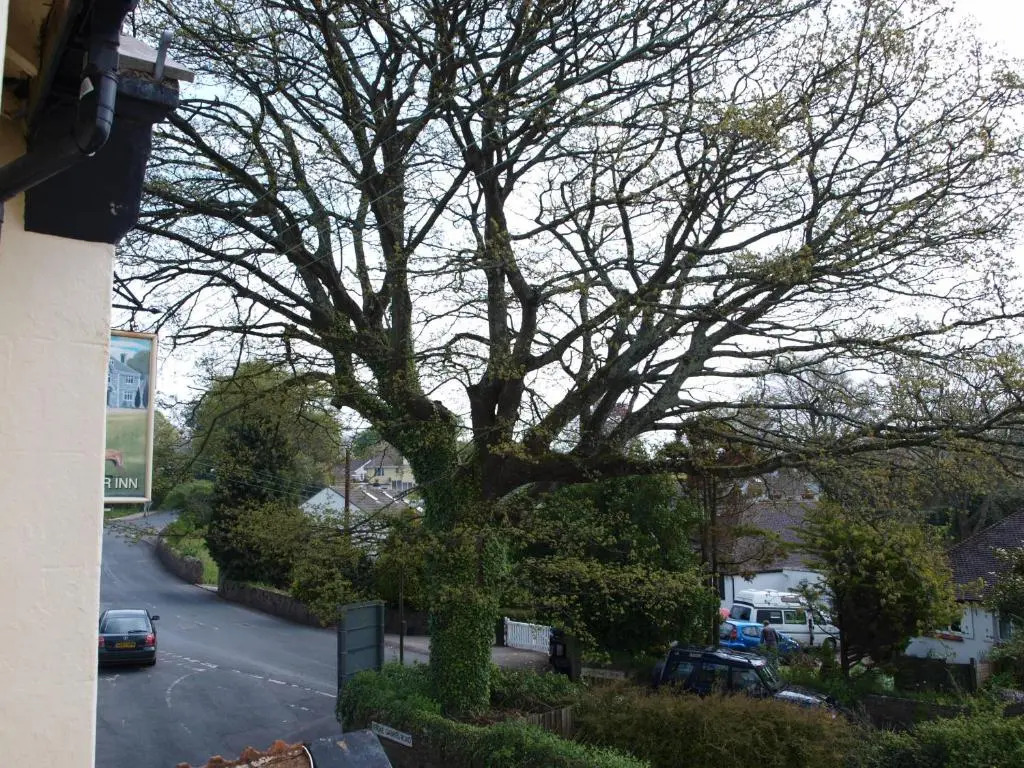 Manor Inn Galmpton