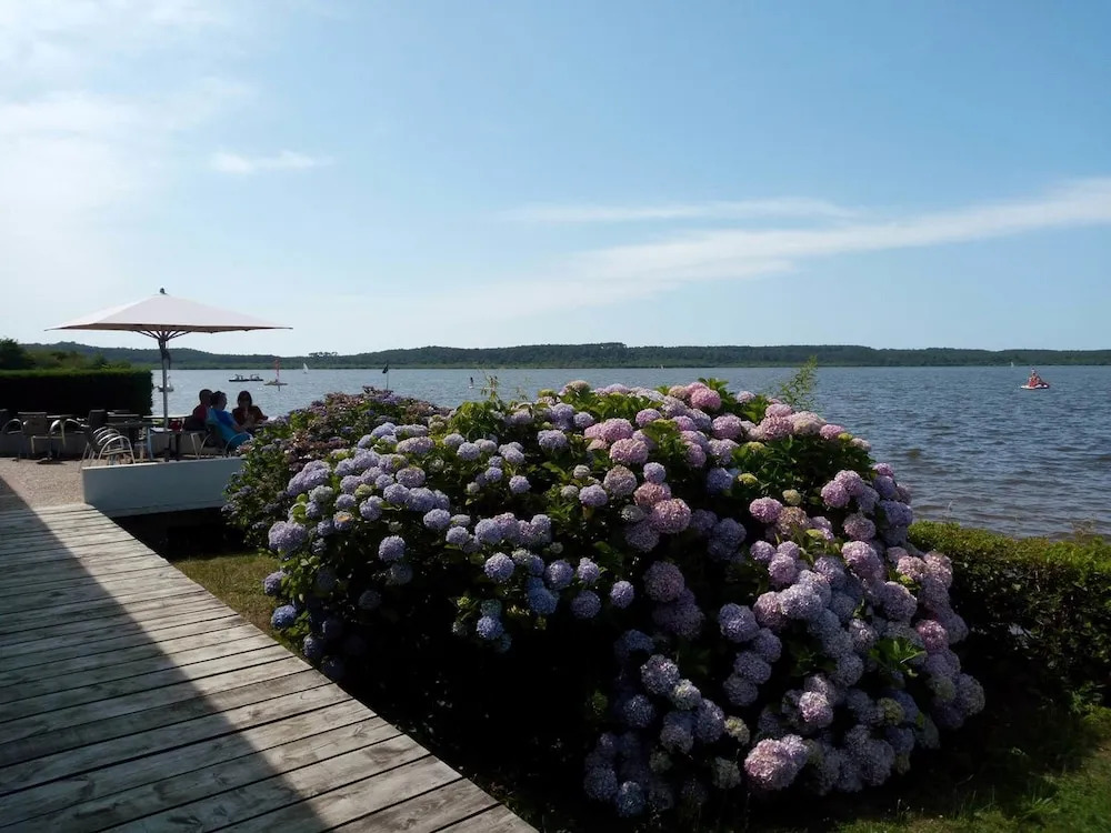 Les Rives du Lac de Léon