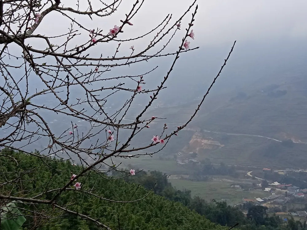 Pan Homestay - Hostel