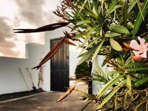B&B La Mimosa