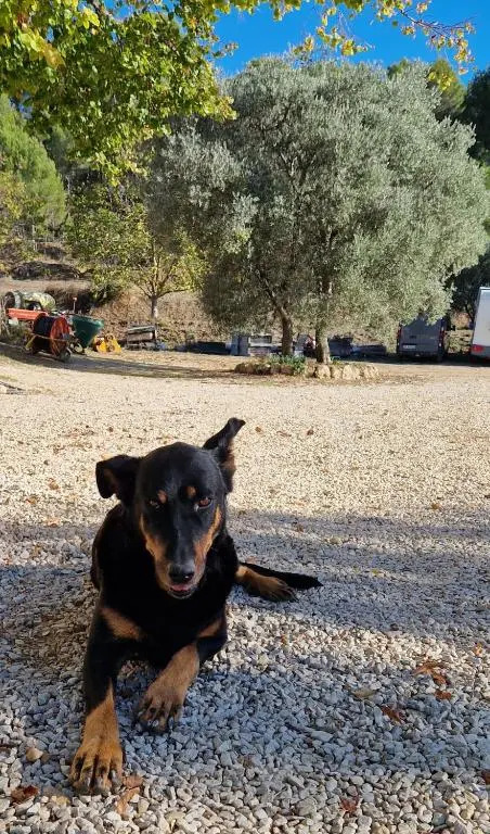 Bastide Bellugue Maison dhôtes réseau Bienvenue à La Ferme à 3 minutes de Lourmarin