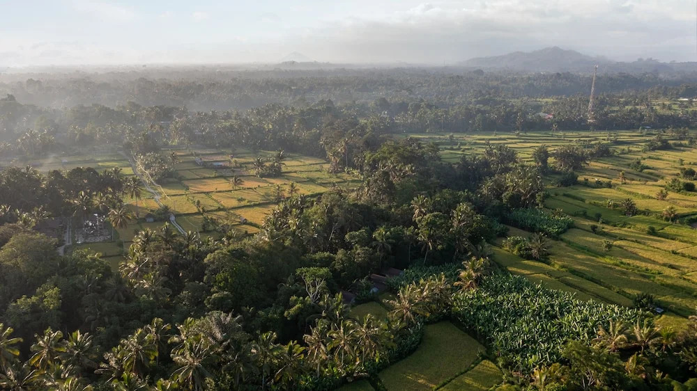 Sacred Canyon Ubud by GenuineHost