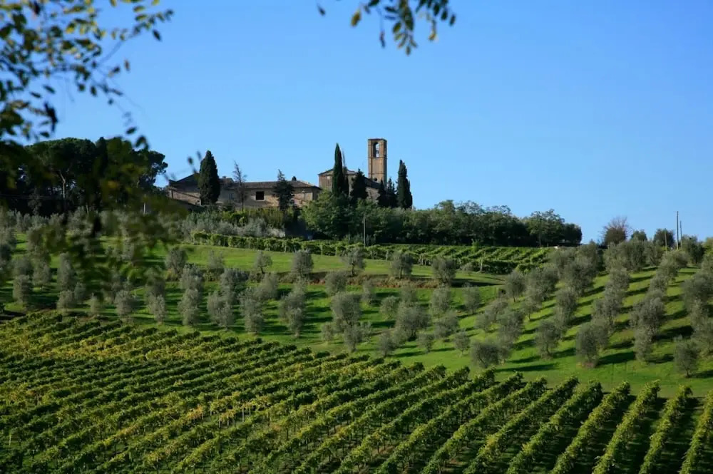 Paterno 404 in San Gimignano