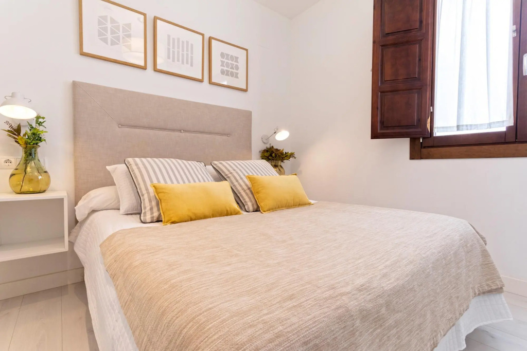 Beautiful one-bedroom apartment near the Cathedral. Zacatin 301