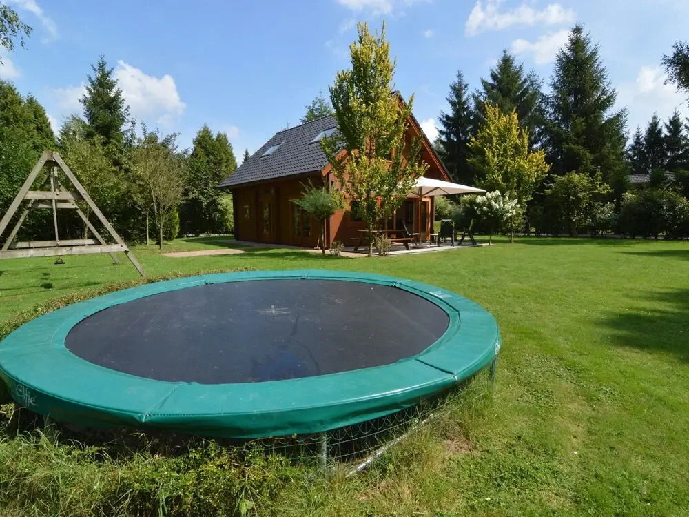 Beautiful wooden villa on a large private site on the Veluwe