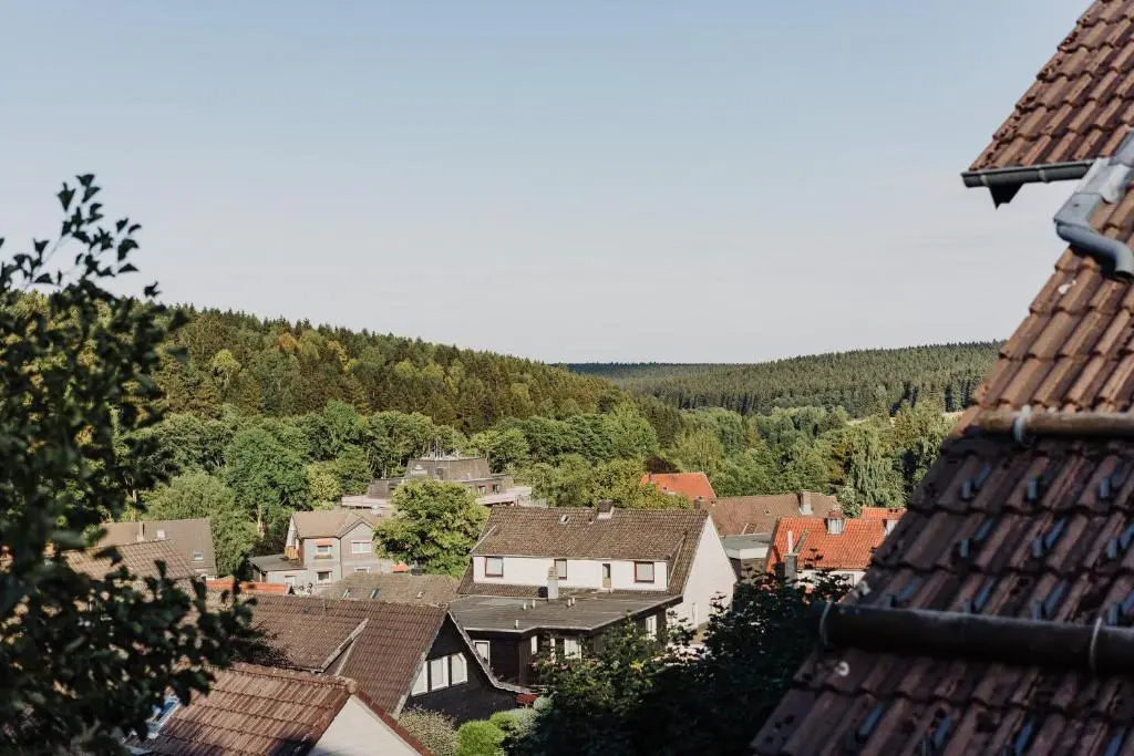 Hexe I - mit Blick auf den Wurmberg