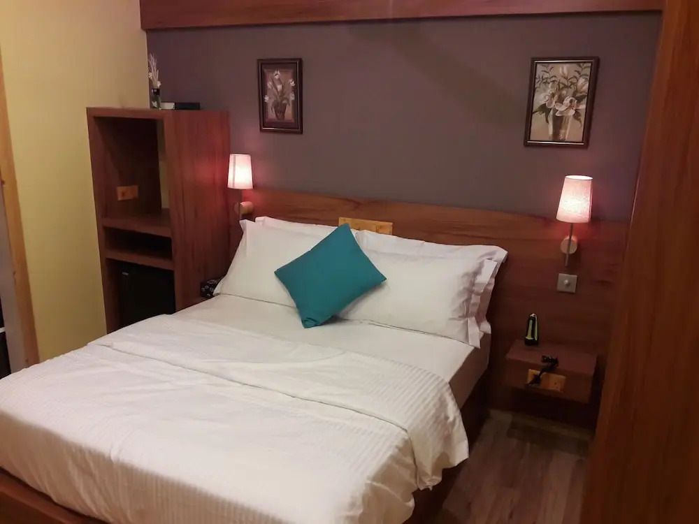 Holiday Nest