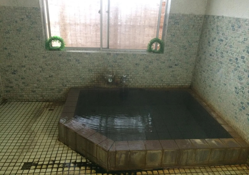 Ryokan Urashima(Tottori)(旅館 浦島)