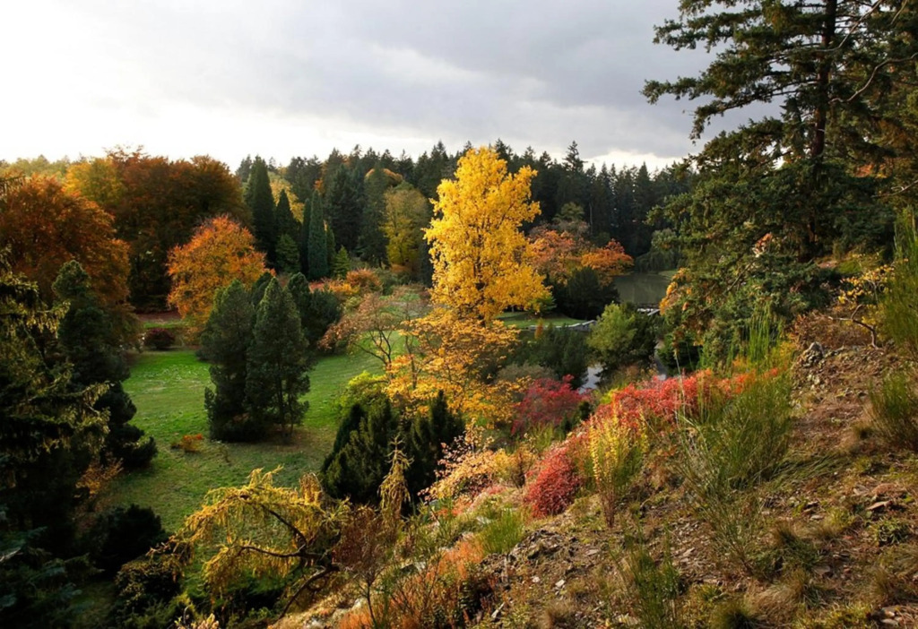 Hotel Floret