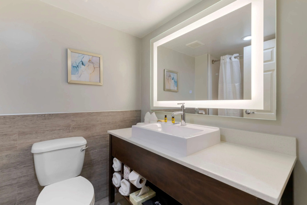 Best Western Plus McAllen Airport Hotel