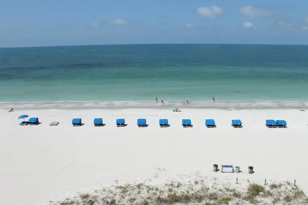 Beach Palms 505