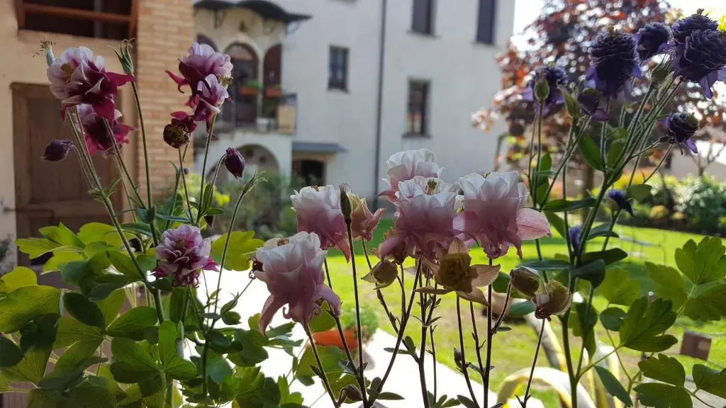 Le Quattro Stagioni B&B and Apartament