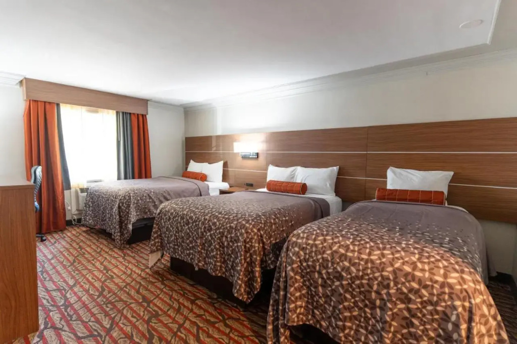 Kalika Hotel