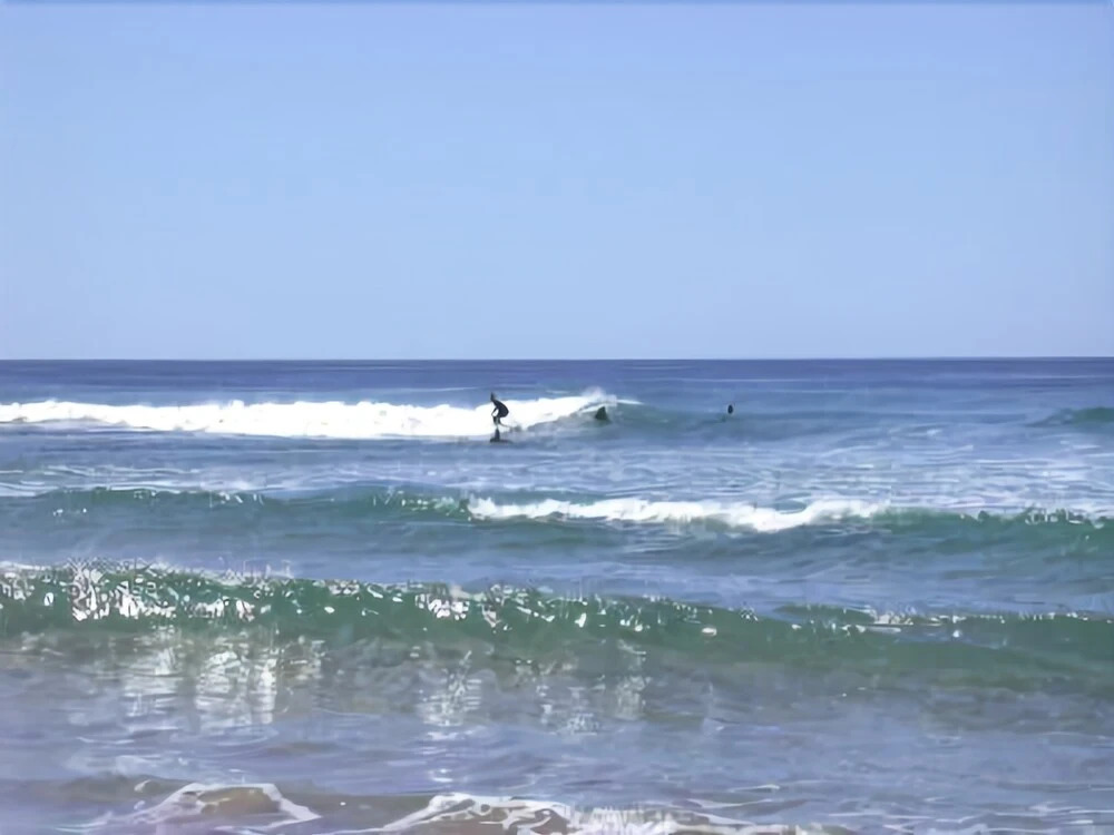 Culburra Beachhouse