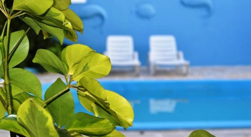 Hotel Penha