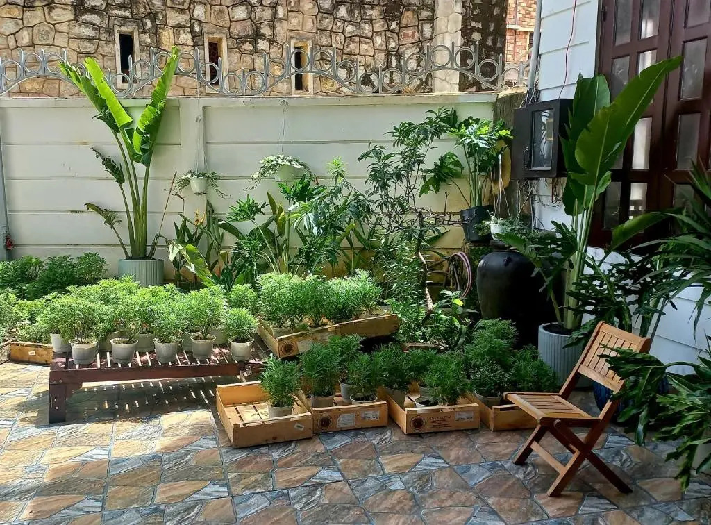 Wasabi House - Homestay ben cho đa lat