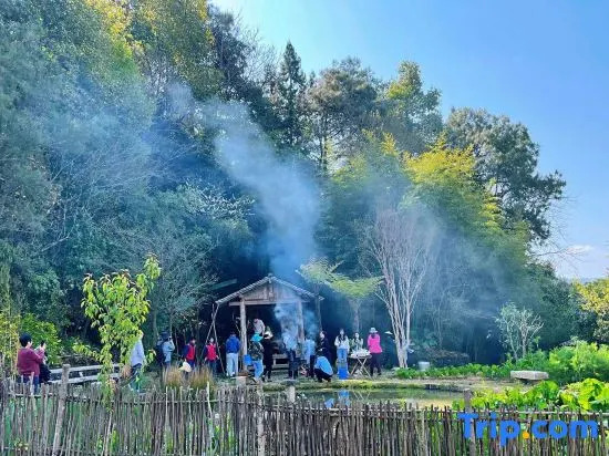 Tianmu Anqing Hot Spring Villa