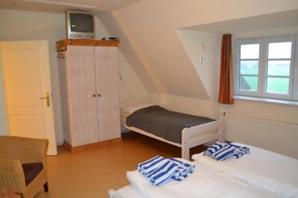 Silbermöwe