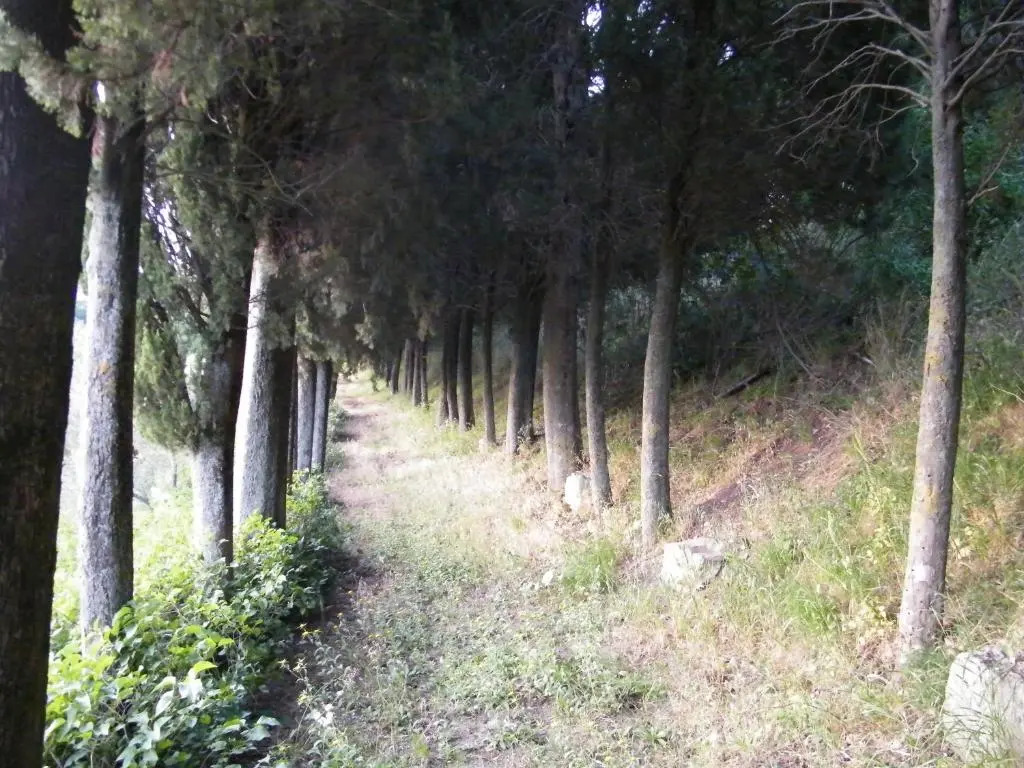Agriturismo Sorgente di Luna