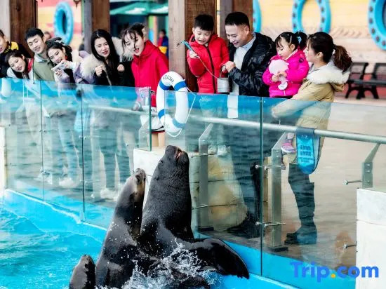 Shanghai Haichang Ocean Park Resort Hotel