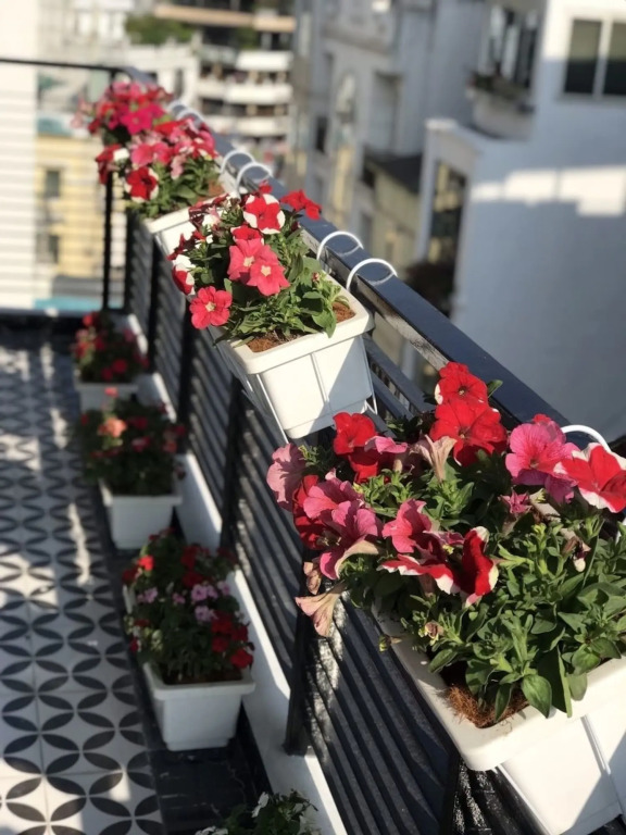 San Boutique Hotel & Travel
