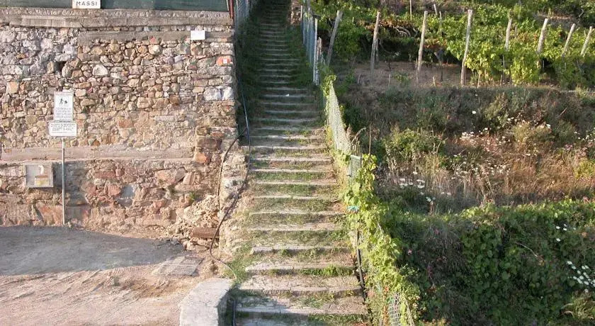 La Volpe e lUva Mare