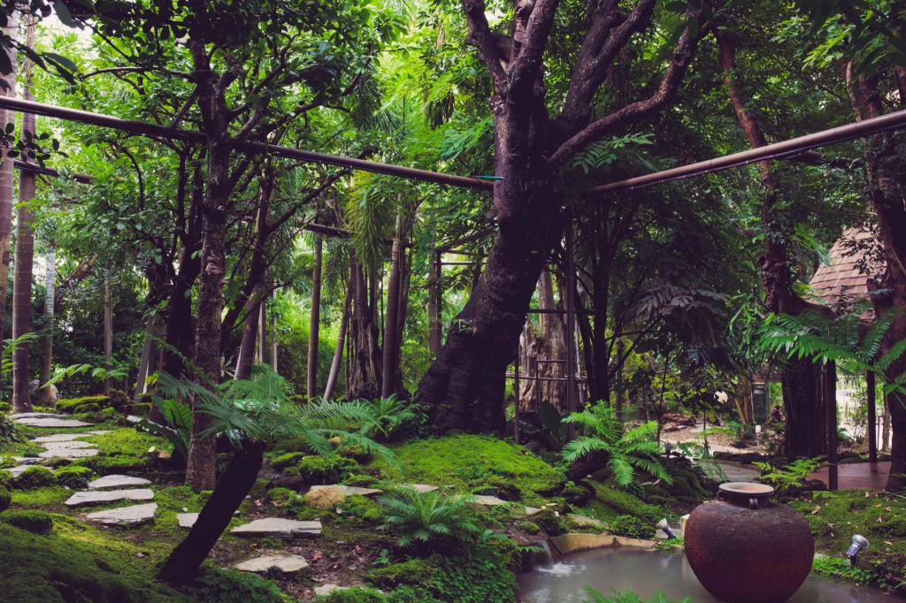 Treescape Resort Chiangmai (SHA Extra Plus)