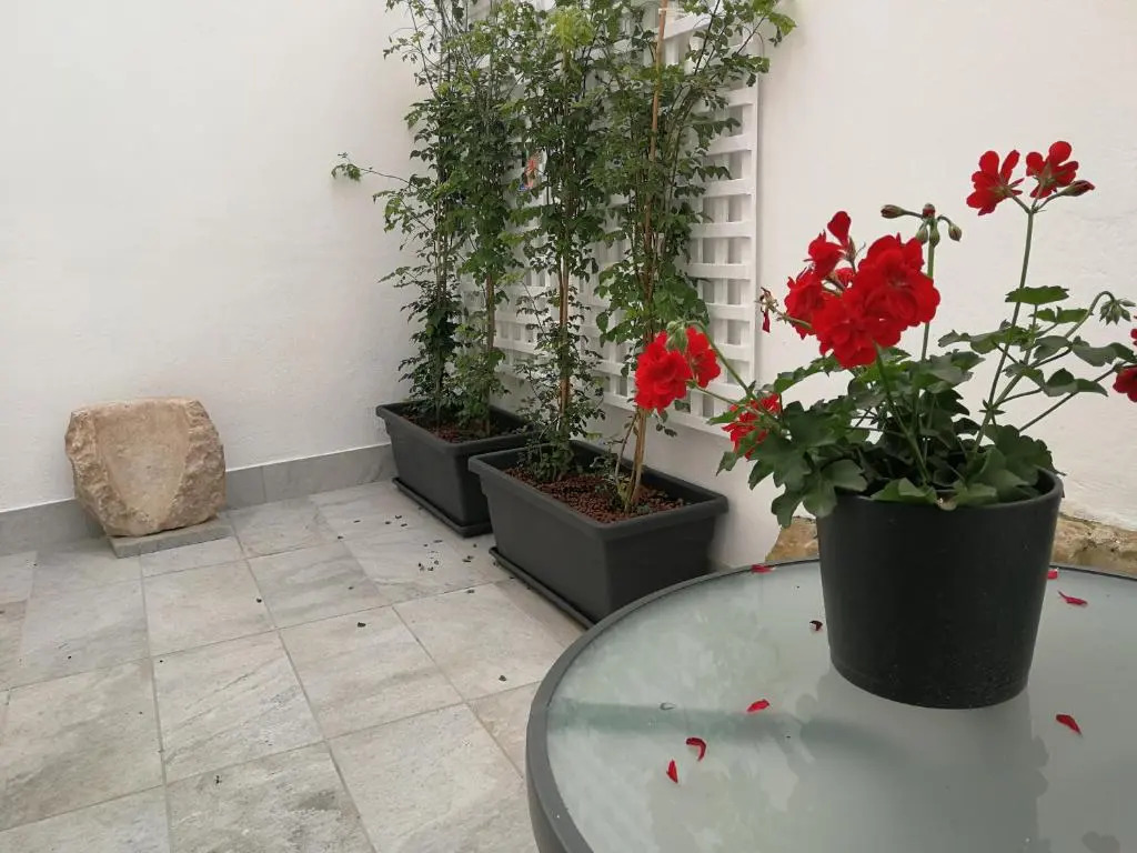 New VillaMora - Ribera