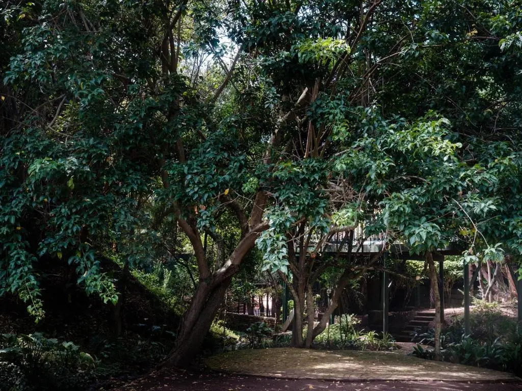 Cinnamon Boutique Guest House