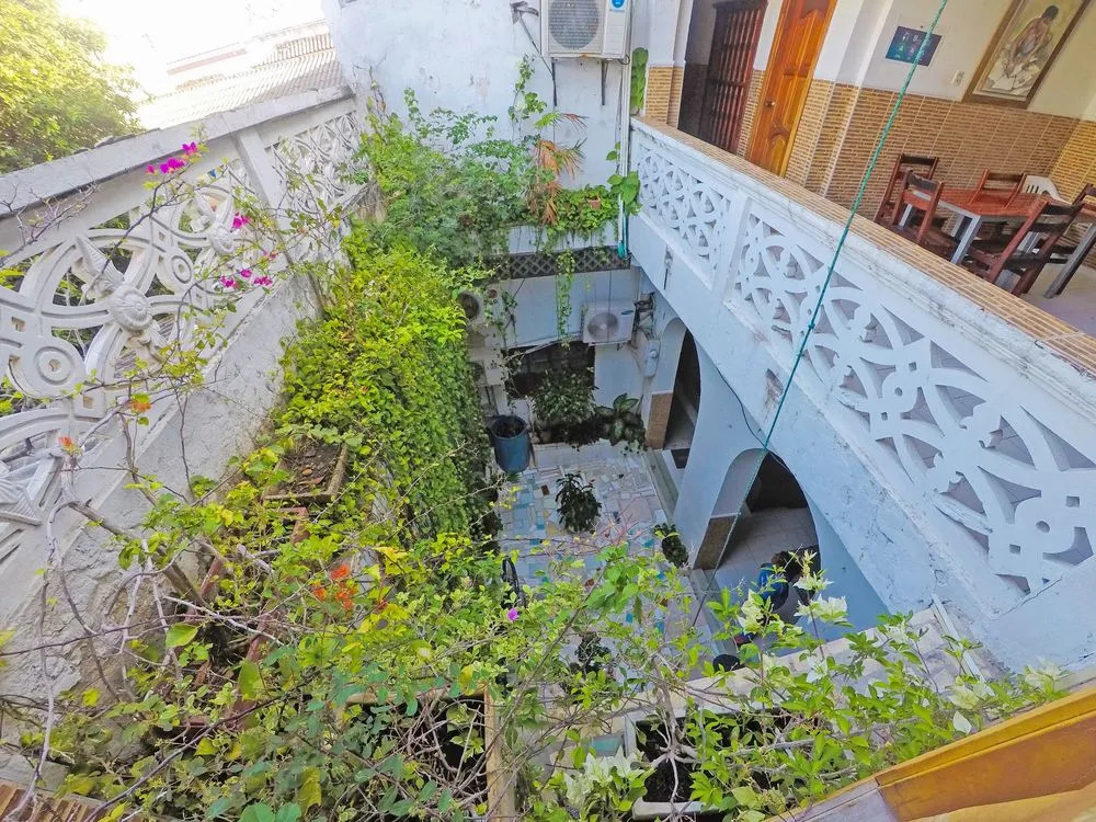 Hotel Marlin