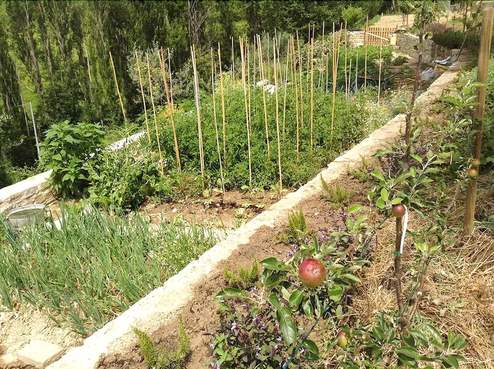 Gaiattone Eco Resort