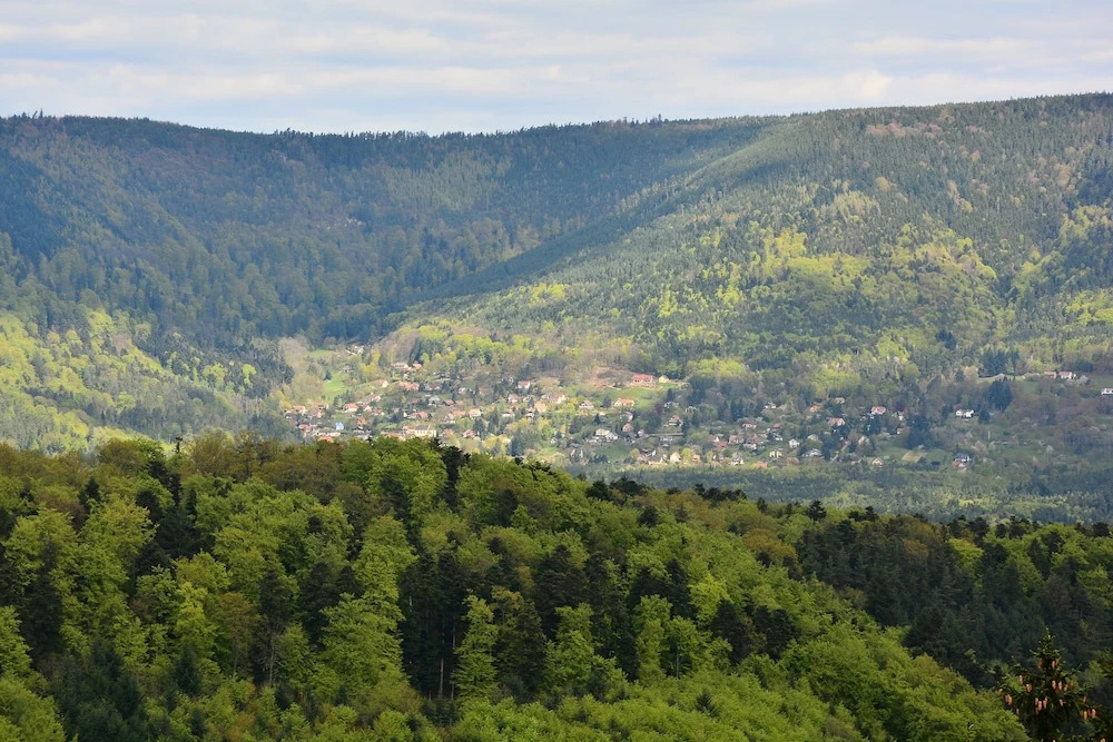 Logis Du Haut-Koenigsbourg