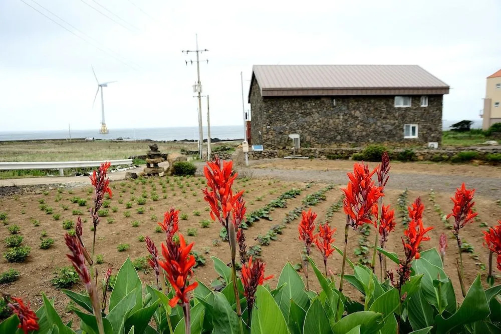 Maison Sondemul - Hostel
