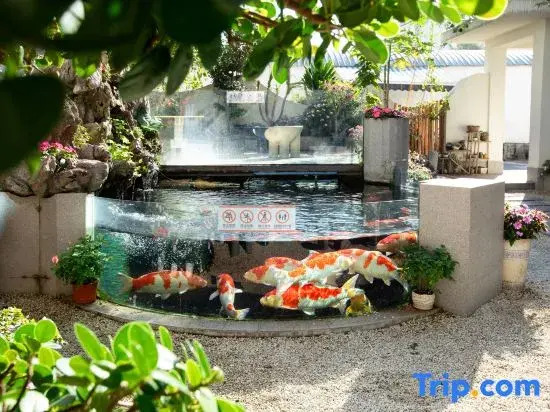 Weixi Homestay (Mangshi Square)